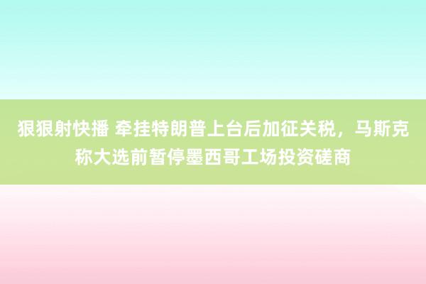 狠狠射快播 牵挂特朗普上台后加征关税，马斯克称大选前暂停墨西哥工场投资磋商