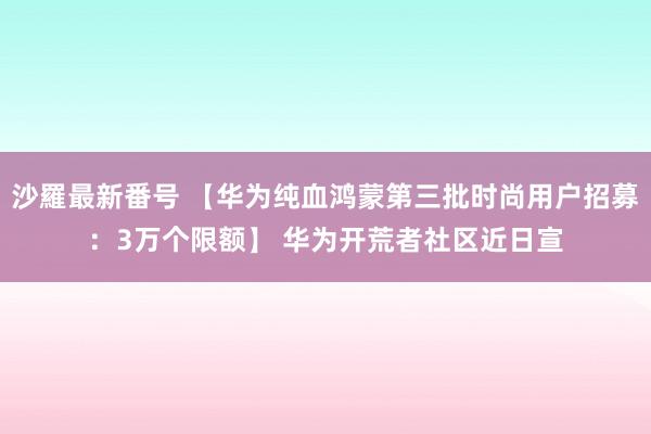 沙羅最新番号 【华为纯血鸿蒙第三批时尚用户招募：3万个限额】 华为开荒者社区近日宣