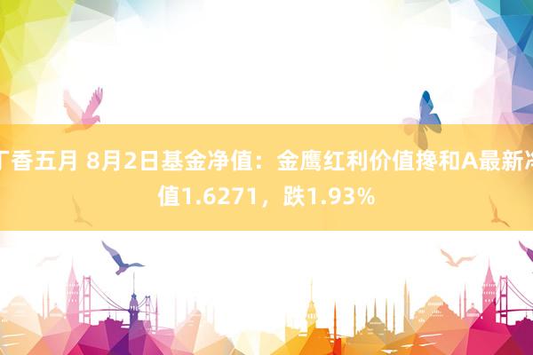 丁香五月 8月2日基金净值：金鹰红利价值搀和A最新净值1.6271，跌1.93%