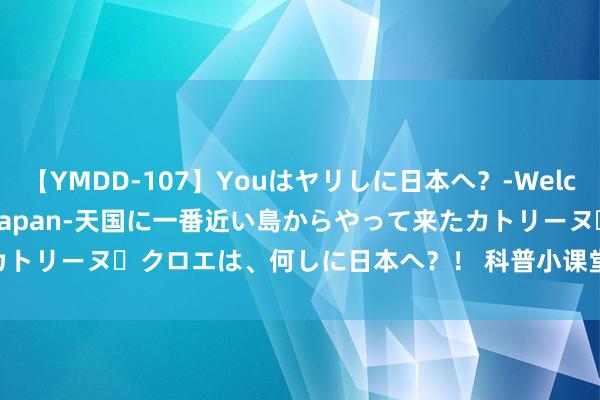 【YMDD-107】Youはヤリしに日本へ？‐Welcome to sex lovers Japan‐天国に一番近い島からやって来たカトリーヌ・クロエは、何しに日本へ？！ 科普小课堂｜LCD 问题排查念念路融会