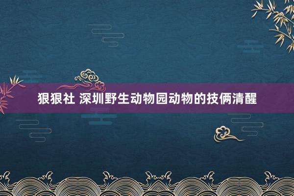 狠狠社 深圳野生动物园动物的技俩清醒