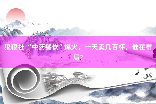 狠狠社 “中药餐饮”爆火，一天卖几百杯，谁在布局？