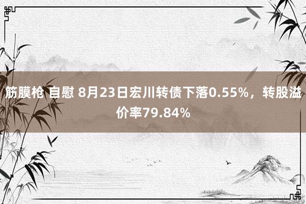 筋膜枪 自慰 8月23日宏川转债下落0.55%，转股溢价率79.84%