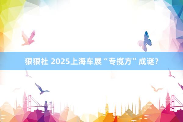 狠狠社 2025上海车展“专揽方”成谜？