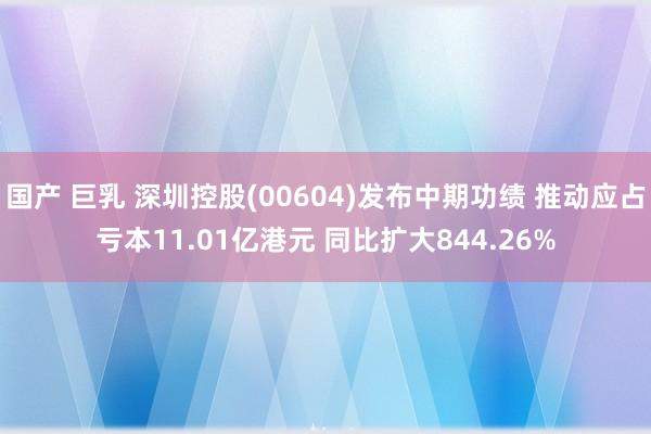 国产 巨乳 深圳控股(00604)发布中期功绩 推动应占亏本11.01亿港元 同比扩大844.26%