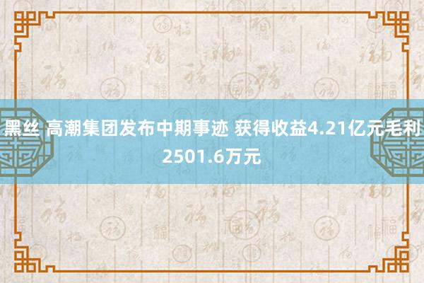 黑丝 高潮集团发布中期事迹 获得收益4.21亿元毛利2501.6万元