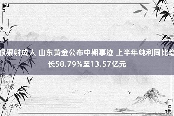 狠狠射成人 山东黄金公布中期事迹 上半年纯利同比增长58.79%至13.57亿元