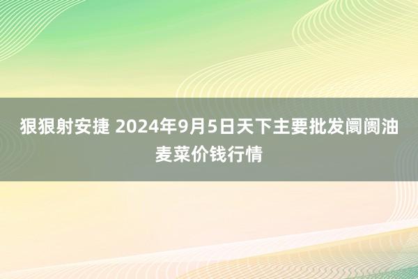 狠狠射安捷 2024年9月5日天下主要批发阛阓油麦菜价钱行情