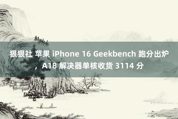 狠狠社 苹果 iPhone 16 Geekbench 跑分出炉，A18 解决器单核收货 3114 分