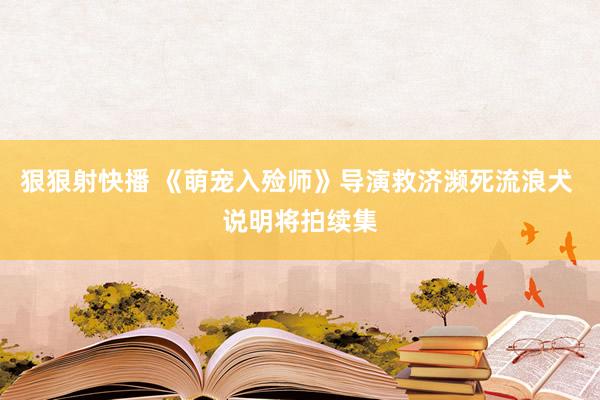 狠狠射快播 《萌宠入殓师》导演救济濒死流浪犬 说明将拍续集