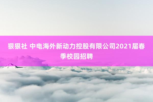 狠狠社 中电海外新动力控股有限公司2021届春季校园招聘