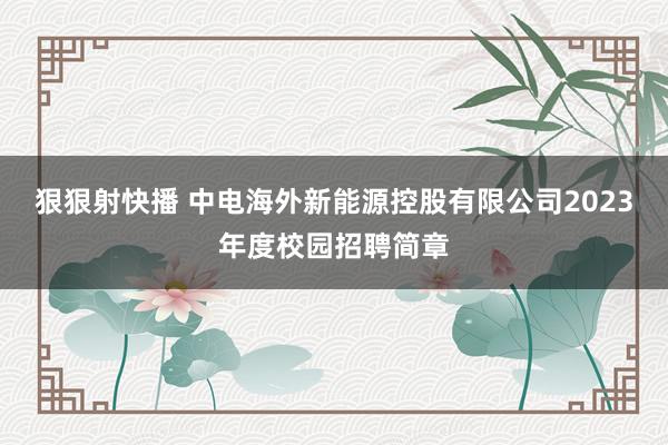 狠狠射快播 中电海外新能源控股有限公司2023年度校园招聘简章