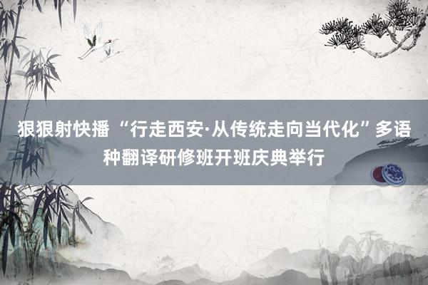 狠狠射快播 “行走西安·从传统走向当代化”多语种翻译研修班开班庆典举行