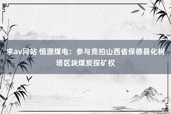 求av网站 恒源煤电：参与竞拍山西省保德县化树塔区块煤炭探矿权