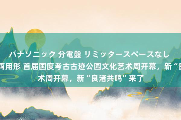 パナソニック 分電盤 リミッタースペースなし 露出・半埋込両用形 首届国度考古古迹公园文化艺术周开幕，新“良渚共鸣”来了